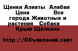 Щенки Азиаты (Алабаи) › Цена ­ 20 000 - Все города Животные и растения » Собаки   . Крым,Щёлкино